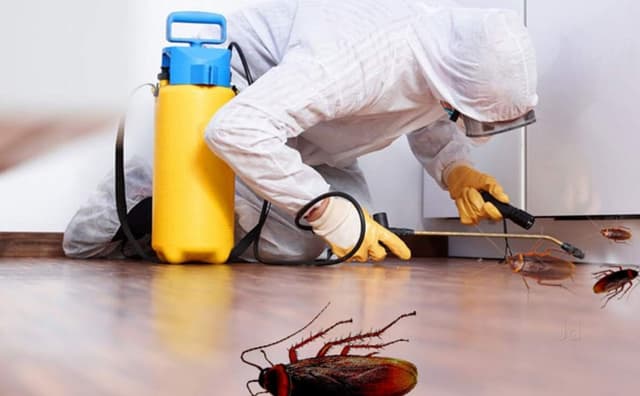 Pest control and FUMIGATION